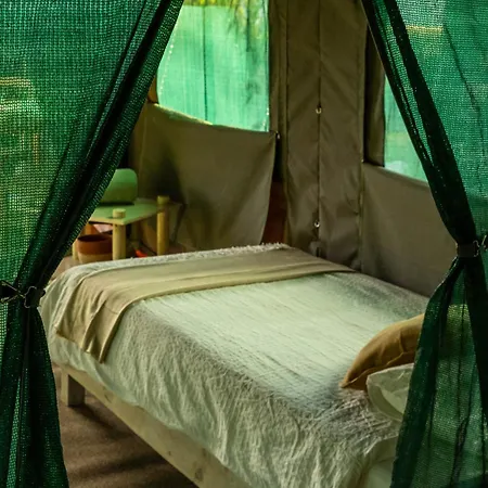 Safari Glamping Portugal Gazelle