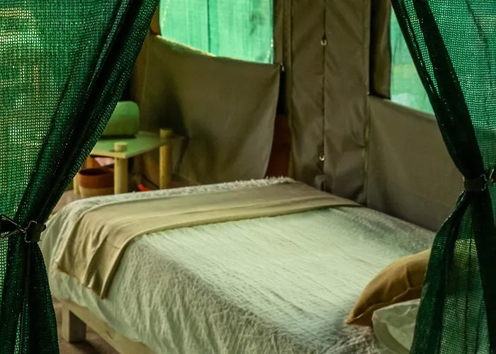 Safari Glamping Portugal Gazelle